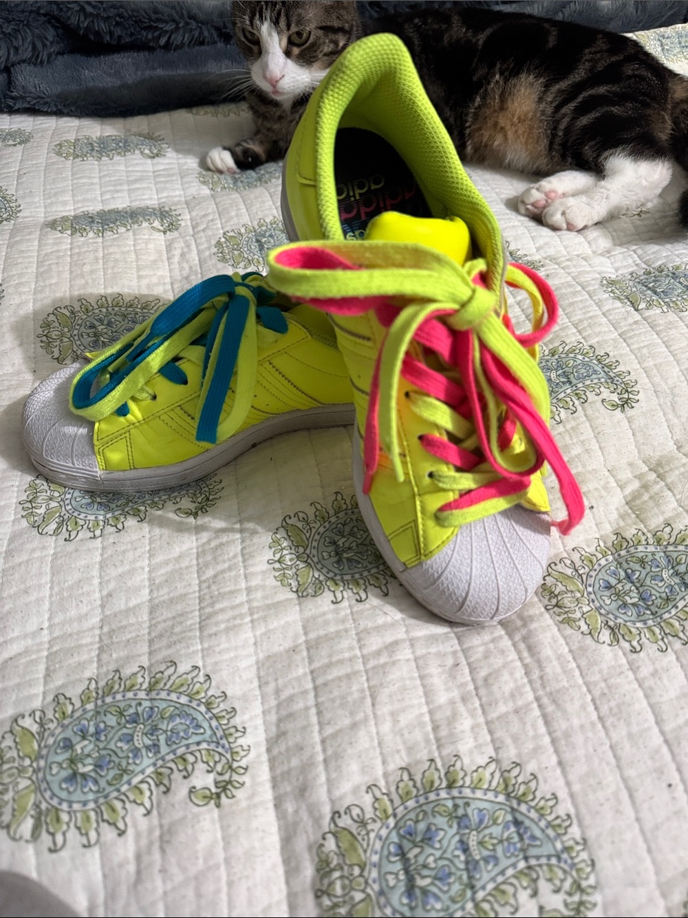 adidas Neon Yellow Sneakers with Pink & Blue Laces